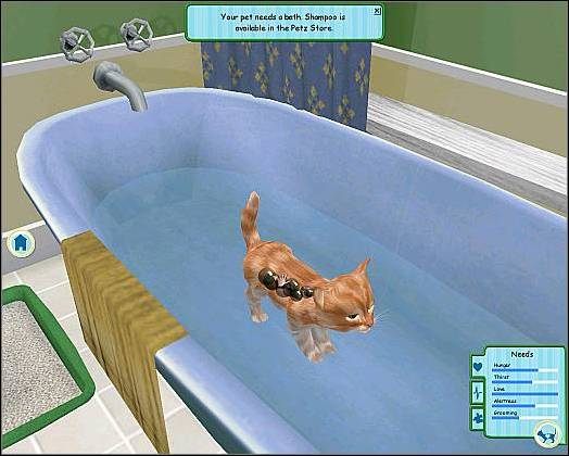 Drapak stoi w salonie (A) - Opieka nad pupilem cz.3 | Opieka nad pupilem | Catz - Catz (2006) - poradnik do gry