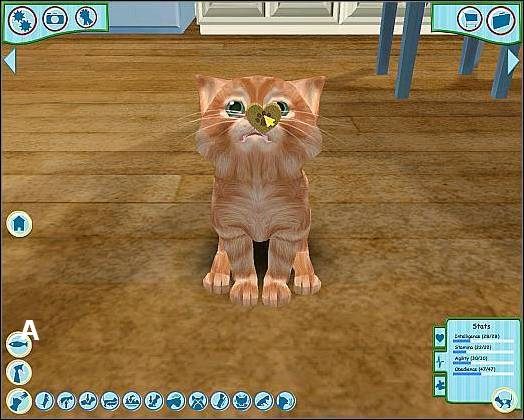 W przypadku karcenia nie musicie kupować żadnego dodatkowego sprzętu - Opieka nad pupilem cz.2 | Opieka nad pupilem | Catz - Catz (2006) - poradnik do gry