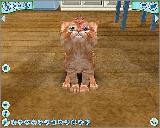 Aby obrócić zwierzaka należy go przywołać, a następnie kliknąć na jego czole LPM (A) - Opieka nad pupilem cz.1 | Opieka nad pupilem | Catz - Catz (2006) - poradnik do gry