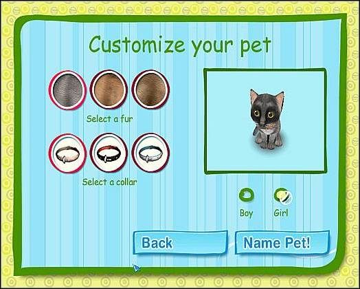 Kot birmański to prawdziwy elegant - Kot birmański | Wybór mruczka | Catz - Catz (2006) - poradnik do gry