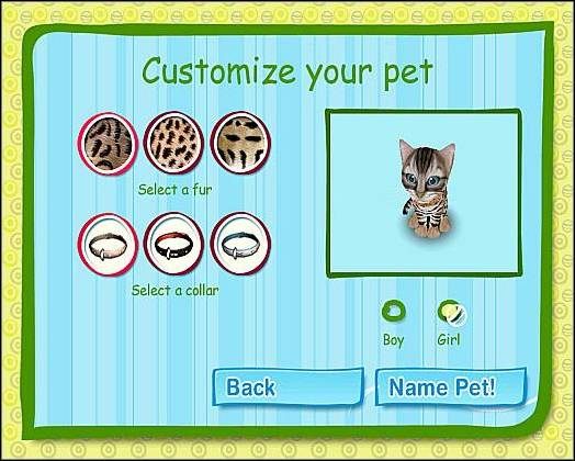 Jest to jeden z najdzikszych kotków, no przynajmniej z wyglądu - Kot bengalski | Wybór mruczka | Catz - Catz (2006) - poradnik do gry