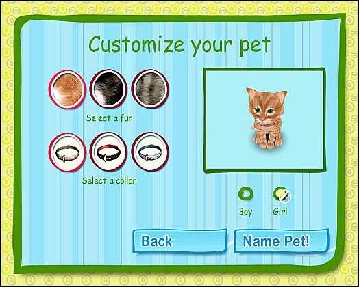 Maine Coon to rasa, która przepada za ludźmi - Maine Coon | Wybór mruczka | Catz - Catz (2006) - poradnik do gry