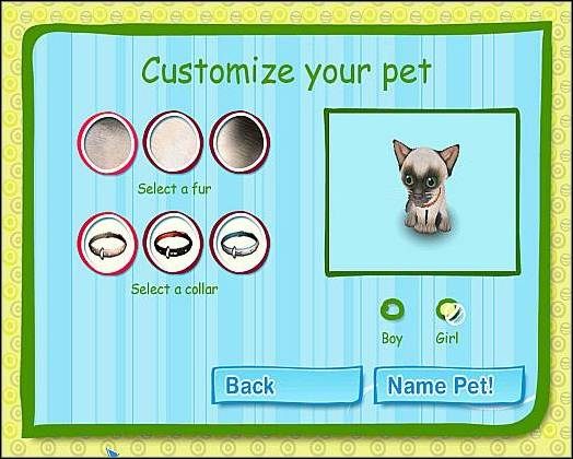 Jest to jedna z bardziej znanych kici w skali całego świata - Kot syjamski | Wybór mruczka | Catz - Catz (2006) - poradnik do gry