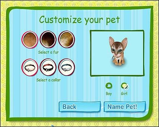 Jest to bardzo charakterystyczny kot, którego cechą rozpoznawczą są oryginalne uszy - Kot abisyński | Wybór mruczka | Catz - Catz (2006) - poradnik do gry