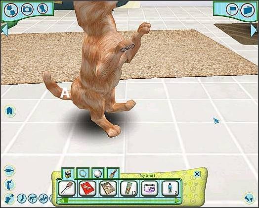 1 - Tresura cz.3 | Proces tresury | Dogz - Dogz (2006) - poradnik do gry