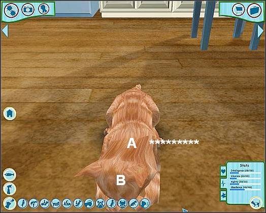 1 - Tresura cz.2 | Proces tresury | Dogz - Dogz (2006) - poradnik do gry