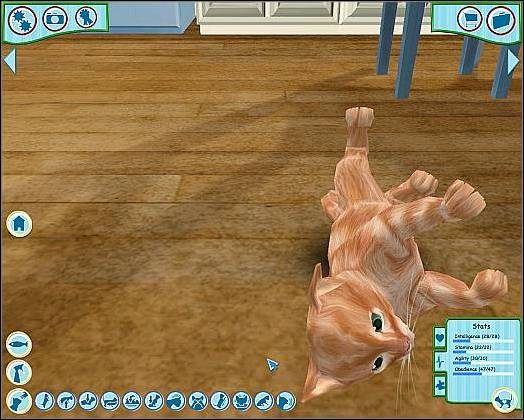 Pozycja wyjściowa - Tresura cz.2 | Proces tresury | Dogz - Dogz (2006) - poradnik do gry