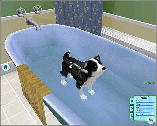 Aby zrobić zdjęcie swojemu futrzakowi, kliknij na ikonę aparatu (w górnej-lewej części ekranu - C) - Opieka nad pupilem cz.3 | Opieka nad zwierzakiem | Dogz - Dogz (2006) - poradnik do gry