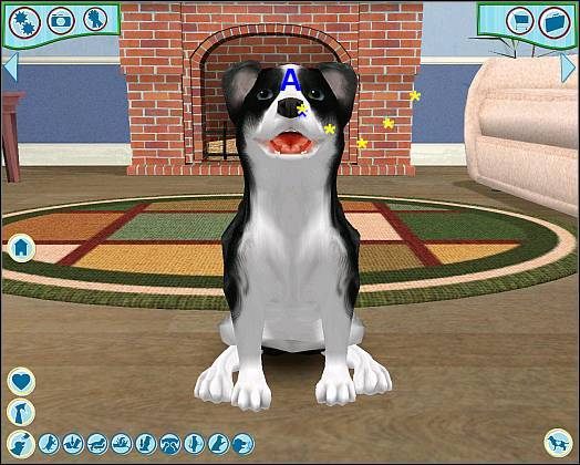 1 - Opieka nad pupilem cz.1 | Opieka nad zwierzakiem | Dogz - Dogz (2006) - poradnik do gry