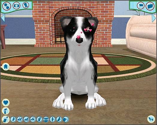 Aby obrócić zwierzaka należy go przywołać, a następnie kliknąć na jego czole LPM (A) - Opieka nad pupilem cz.1 | Opieka nad zwierzakiem | Dogz - Dogz (2006) - poradnik do gry