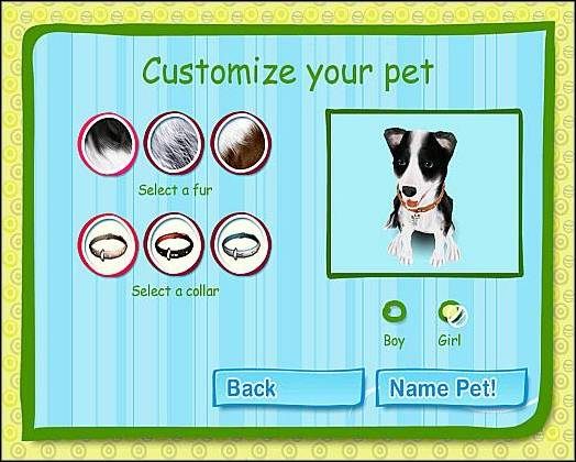 Border Collie to rasa piesków pasterskich - Border Collie | Wybór psiaka | Dogz - Dogz (2006) - poradnik do gry