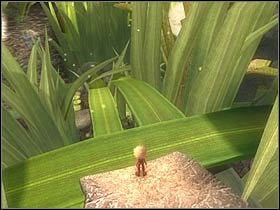 Po dojściu do trawy, skacząc po jej źdźbłach, zejdź na sam dół, w okolice rzeki - [ETAP VIII] Lost in the Seven Lands - I cz.3 | Artur i Minimki - Artur i Minimki - poradnik do gry