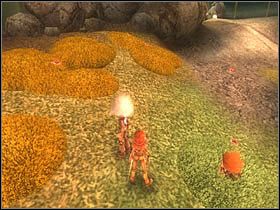 Pozostałą dwójką przejdź w kierunku muszli (zdjęcie poniżej) - [ETAP VI] The Battle of the Station cz.1 | Artur i Minimki - Artur i Minimki - poradnik do gry