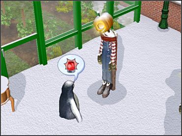 Pingwinek to jedna z wielu niespodzianek, przygotowanych przez autorów Czterech pór roku. - Zima | Zmiany | The Sims 2 Cztery Pory Roku - The Sims 2: Cztery pory roku - poradnik do gry