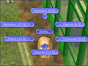 Wielkość prezentowanej na zdjęciu listy uzależniona jest od zdobytej wcześniej rangi ogrodnictwa. - Uprawa roślin i użyźnianie gleby | Ogród | The Sims 2 Cztery Pory Roku - The Sims 2: Cztery pory roku - poradnik do gry