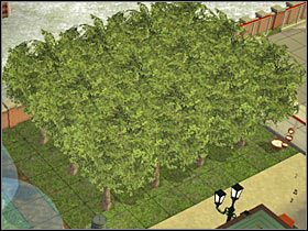 4 - Uprawa roślin i użyźnianie gleby | Ogród | The Sims 2 Cztery Pory Roku - The Sims 2: Cztery pory roku - poradnik do gry