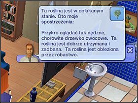 3 - Klub ogrodnika | Ogród | The Sims 2 Cztery Pory Roku - The Sims 2: Cztery pory roku - poradnik do gry