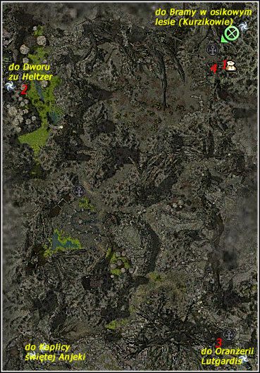 Kolekcjonerzy - Dolina Paproci, Kaplica świętej Anjeki | Las Echovald | Guild Wars Factions - Guild Wars: Factions - poradnik do gry