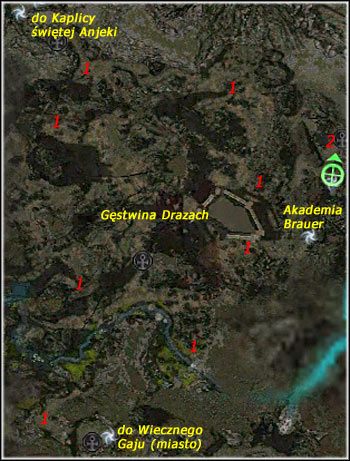 Zadania - Gęstwina Drazach, Akademia Brauer | Las Echovald | Guild Wars Factions - Guild Wars: Factions - poradnik do gry