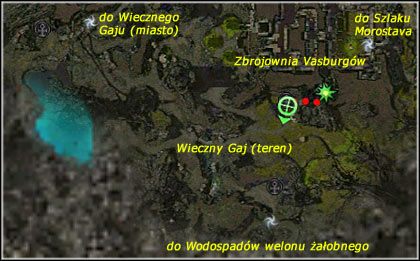 Wieczny Gaj (teren) - Zbrojownia Vasburgów, Wieczny Gaj (teren), Szlak Morostava | Las Echovald - Guild Wars: Factions - poradnik do gry