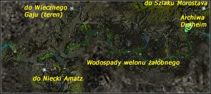 Wodospady welonu żałobnego - Archiwa Durheim, Wodospady welonu żałobnego | Las Echovald | Guild Wars Factions - Guild Wars: Factions - poradnik do gry