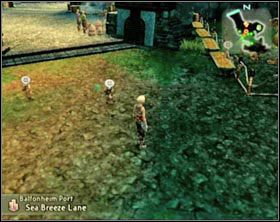 4 - Zagubione owieczki... ekhm... Cockatrice cz.2 | Dodatkowe elementy gry - Final Fantasy XII - poradnik do gry
