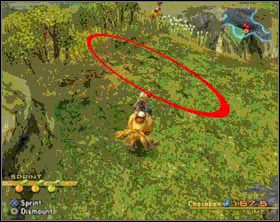 Chocobo, wielkie dwunożne ptaki przypominające strusie, to bardzo popularny środek transportu - Krótki samouczek | Licencje i rozwój postaci | Solucja Final Fantasy XII - Final Fantasy XII - poradnik do gry