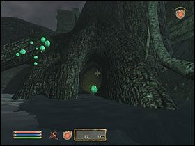 Po drugiej stronie tunelu zanurkuj, a dostaniesz się do Vitharn Reservoir - [Misje inne] Ghosts of Vitharn | The Elder Scrolls IV Shivering Isles - The Elder Scrolls IV: Shivering Isles - poradnik do gry