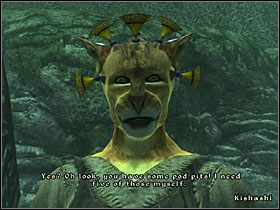 Porozmawiaj z Cindanwe i zapytaj o notatnik - [Misje inne] Everything In its Place | The Elder Scrolls IV Shivering Isles - The Elder Scrolls IV: Shivering Isles - poradnik do gry