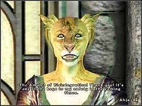 1 - [Misje New Sheoth] The Coming Storm | The Elder Scrolls IV Shivering Isles - The Elder Scrolls IV: Shivering Isles - poradnik do gry