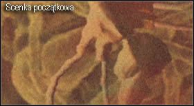 4 - Village (2-1) - jezioro po walce | Solucja Resident Evil 4 - Resident Evil 4 - PC - poradnik do gry