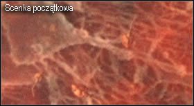 3 - Village (2-1) - jezioro po walce | Solucja Resident Evil 4 - Resident Evil 4 - PC - poradnik do gry