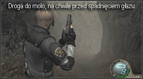 Obok miejsca, w którym się aktualnie znajdujesz, jest szopa - Village (1-3) - moczary | Solucja Resident Evil 4 - Resident Evil 4 - PC - poradnik do gry