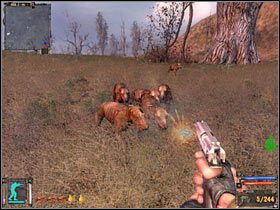 9 - Radioaktywne przejście prowadzące do innej strefy (Dolina Mroku) - Mapa szczegółowa (2) | Wysypisko w Stalker Cień Czarnobyla - S.T.A.L.K.E.R.: Cień Czarnobyla - poradnik do gry