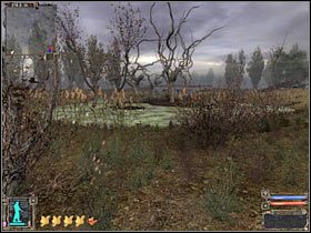 2 - Mapa szczegółowa (1) | Dolina Mroku w Stalker Cień Czarnobyla - S.T.A.L.K.E.R.: Cień Czarnobyla - poradnik do gry