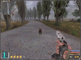 6 - Zabudowania znajdujące się na północ od kompleksu badawczego - Mapa szczegółowa (2) | Dolina Mroku w Stalker Cień Czarnobyla - S.T.A.L.K.E.R.: Cień Czarnobyla - poradnik do gry