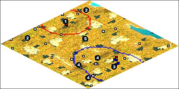 Zaczynasz w 1 i powinieneś budować nowe miasta przy północnej krawędzi mapy (2 ) tak, by jak najpóźniej spotkać się z wrogiem - Virginia | The New World Iroquois w Rise of Nations - Rise of Nations - poradnik do gry