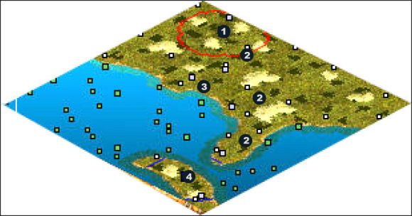 Zaczynasz w 1 i pierwszy krok jaki musisz zrobić to skierowanie armii na wybrzeże - Cuba | The New World Iroquois w Rise of Nations - Rise of Nations - poradnik do gry