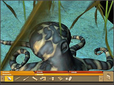 Musisz tu wykonać tylko jedną, ale za to bardzo istotną czynność - część 9 | Udar słoneczny | CSI Kryminalne Zagadki Miami - CSI: Kryminalne Zagadki Miami - poradnik do gry