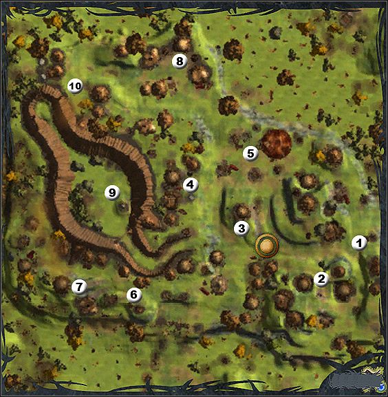 Wioska druidów - Mapy | The Silverfall sources | Silverfall - Silverfall - poradnik do gry