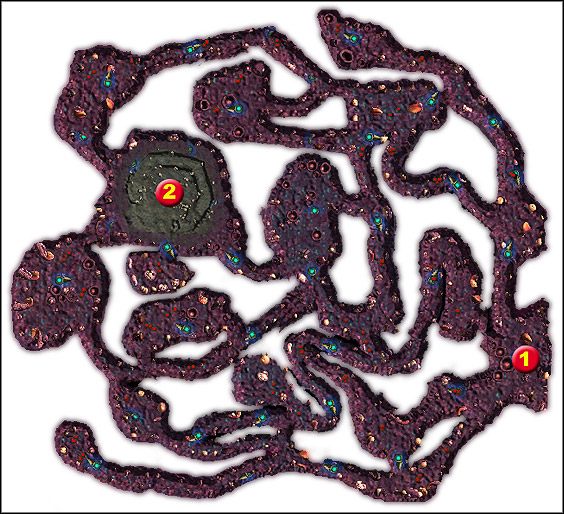 Guekheness hive - Misje (1) | In the belly of the world | Silverfall - Silverfall - poradnik do gry