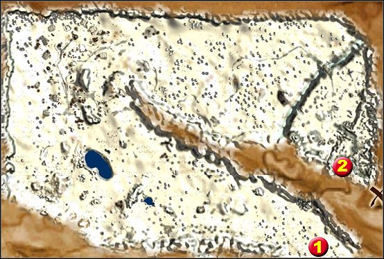 Snowy forest - Misje (2) | Free Kara | Silverfall - Silverfall - poradnik do gry