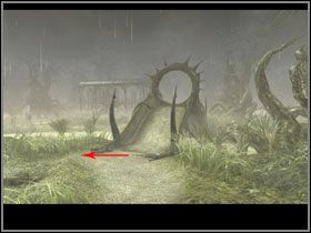 Zabierz z półki z po lewej fosfor (#1), przeglądnij książkę (#2) i wyjdź na zewnątrz - Manula Valley (5) | Rozdział II | The Sacred Rings - The Sacred Rings - poradnik do gry