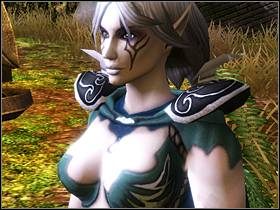 Wkrótce powinieneś dotrzeć do pierwszej bazy wroga - DRAGHLUR cz.1 - SpellForce 2: Władca Smoków - poradnik do gry