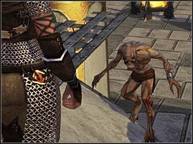 Zanim podejmiesz jakiekolwiek działanie, zauważ, że Caine ma do Ciebie jakąś sprawę - OSTOJA cz.3 - SpellForce 2: Władca Smoków - poradnik do gry