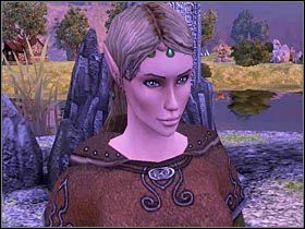 Przybywasz akurat w momencie, gdy Satras pada trupem z rąk Błogosławionych - ZACHODNIA GARDA cz.1 - SpellForce 2: Władca Smoków - poradnik do gry