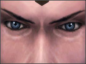 Po zwyczajowej wymianie inwektyw otrzymasz zadanie Ostatnia batalia - PAŁAC KRÓLA ULFA cz.2 - SpellForce 2: Władca Smoków - poradnik do gry