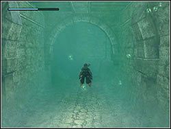 Wróć teraz do oczka, wskocz do wody i zanurkuj - 07. Koloseum (1) | Grecja w Tomb Raider Anniversary - Tomb Raider: Anniversary - poradnik do gry