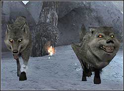 WILK - Wrogowie | Przeciwnicy w Tomb Raider Anniversary - Tomb Raider: Anniversary - poradnik do gry