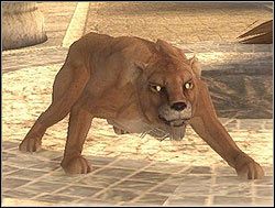 LEW - Wrogowie | Przeciwnicy w Tomb Raider Anniversary - Tomb Raider: Anniversary - poradnik do gry